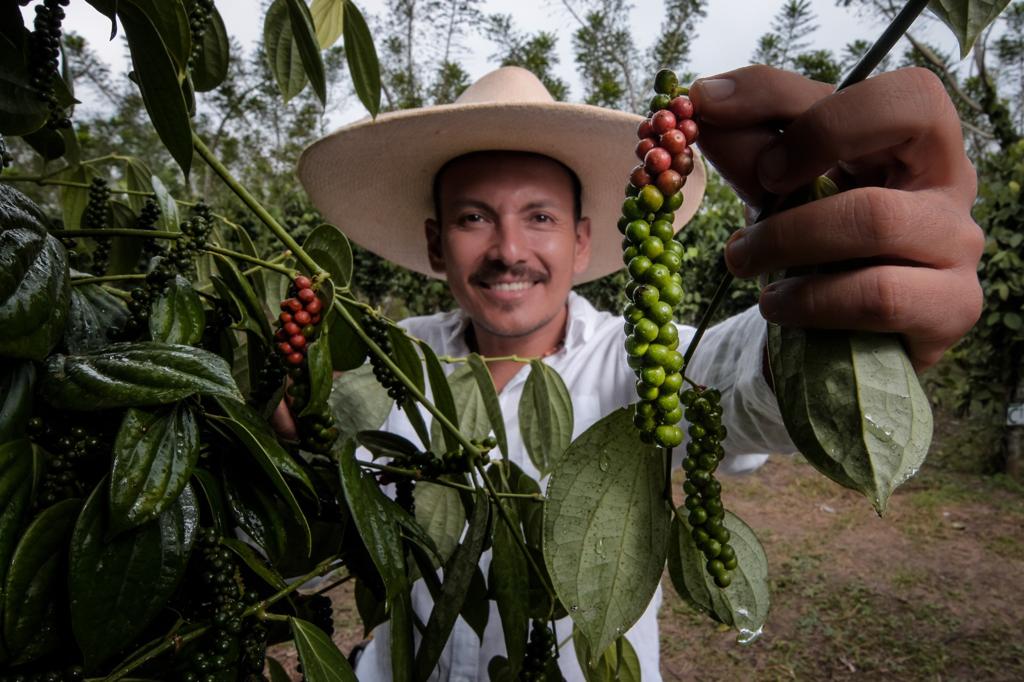 Yupanqui Pepper - Premium Peppercorns