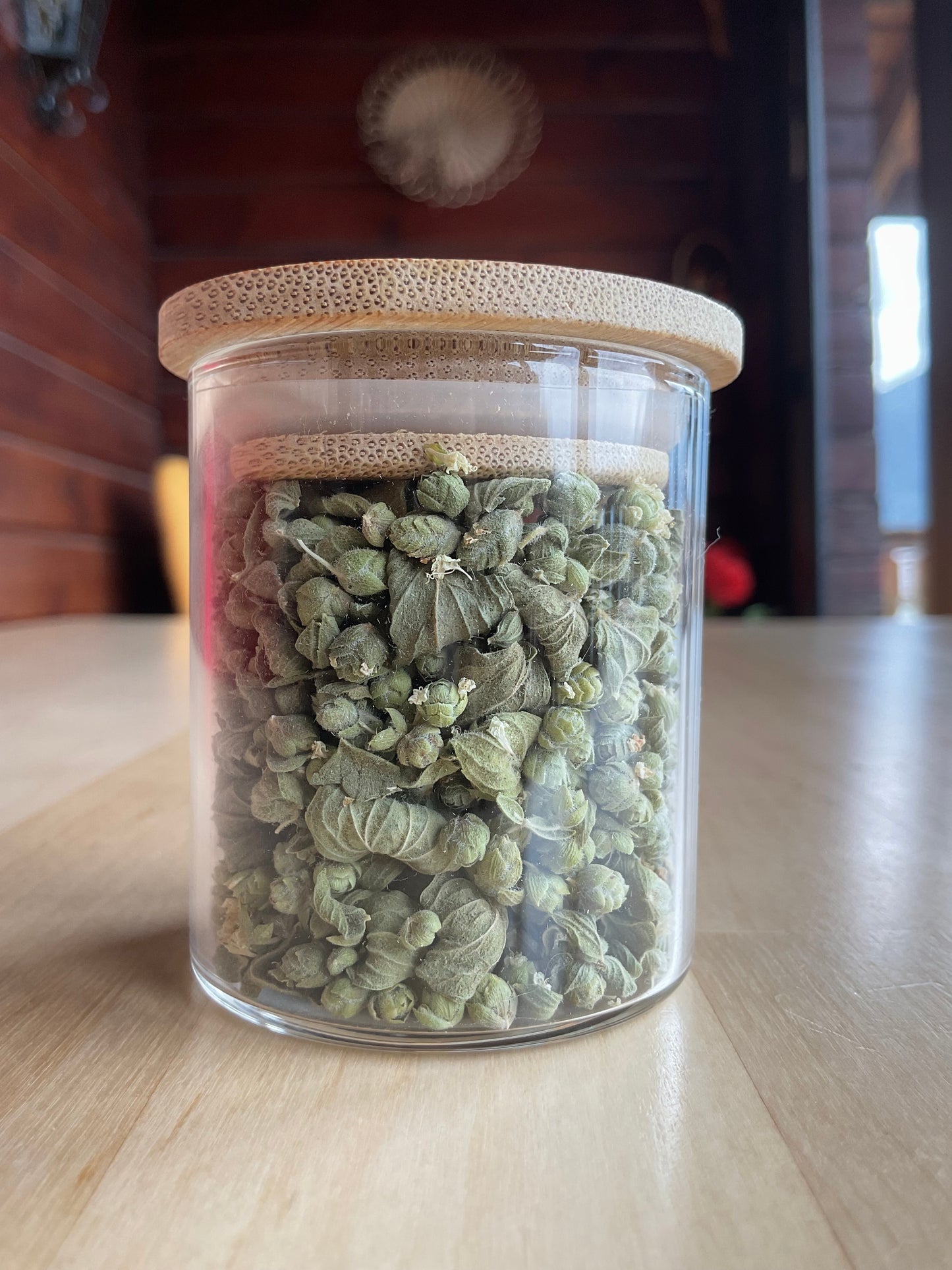 Origan – Bourgeons Sauvages de Crète – Bocal en verre 6g