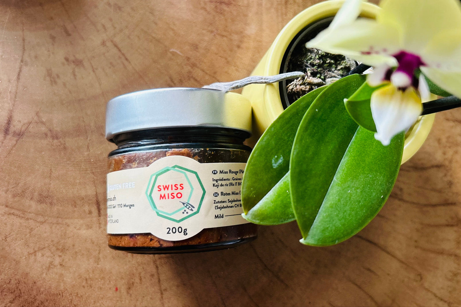 Swiss Miso