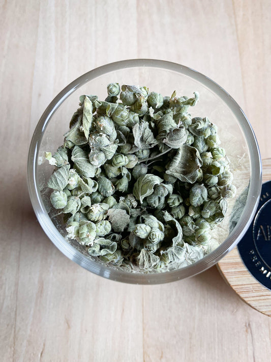 Origan – Bourgeons Sauvages de Crète – Bocal en verre 6g