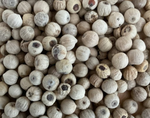 Poivrier Yupanqui - Poivre Blanc WHITE PREMIUM 100g.